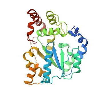 Anticorpo Policlonale di Coniglio Anti-SULT1C4 per WB, IF/ICC, ELISA - O75897