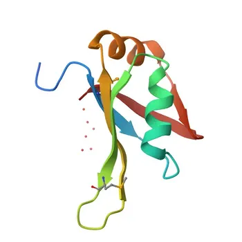 Anti-HNRPAB Polyclonal Antibody for WB, IF/ICC, ELISA - Q99729