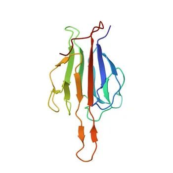 Anti-SLMAP Rabbit Polyclonal Antibody for WB, ELISA - Q14BN4