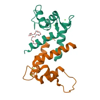 Anti-FLG Rabbit Polyclonal Antibody for WB, ELISA - P20930