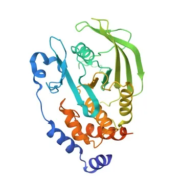 Anti-PTPN2 Polyclonal Antibody (KO Validated) for WB, IF/ICC, ELISA - P17706