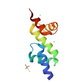 Anti-TNK1 Polyclonal Antibody for WB and ELISA - Q13470
