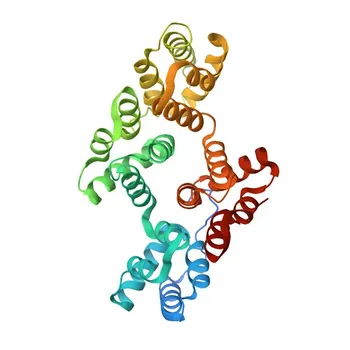 Anti-Annexin A2 Polyclonal Antibody for WB - P07355