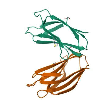 Anticorpo Policlonale Anti-TMED2 per WB, IF/ICC, ELISA - Q15363