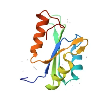 Anticorpo policlonale anti-SET1A per WB, ELISA - O15047