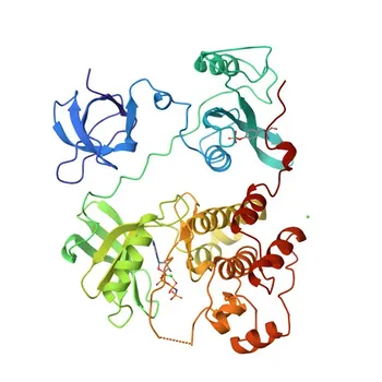 Anti-HCK Rabbit Polyclonal Antibody for WB, IF/ICC, ELISA - P08631
