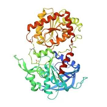 Anticorpo policlonale coniglio Anti-OsGBSSⅠ per WB e ELISA - Q0DEV5