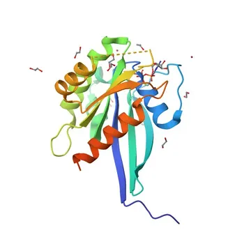 Anticorpo Policlonale Anti-RAB38 per WB, ELISA - P57729