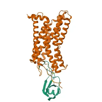 Anti-CXCL6 Rabbit Polyclonal Antibody (WB, ELISA) - P80162