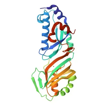 TRUB1 Coniglio pAb - Q8WWH5