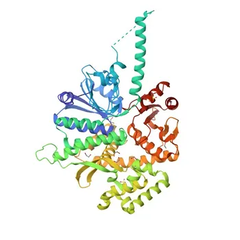 Anti-CDC45 Polyclonal Antibody for WB, ELISA - O75419
