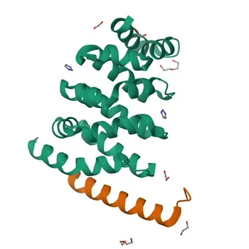 Anti-Bcl9 Rabbit Polyclonal Antibody for WB and ELISA - O00512