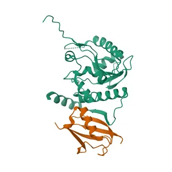 SUMO2/3 Rabbit Polyclonal Antibody (WB, ELISA) - P61956 / P55854