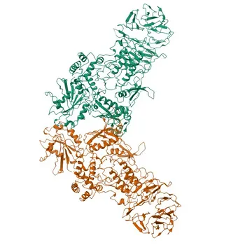 Anticorpo Monoclonal de Coelho Anti-Fosfo-LRRK2-S935 para WB e ELISA - Q5S007