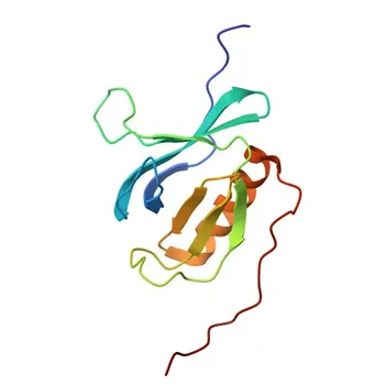 CADPS Rabbit Polyclonal Antibody for IHC-P, ELISA - Q9ULU8