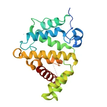 Anti-DLC1 Polyclonal Antibody for WB and ELISA - Q96QB1