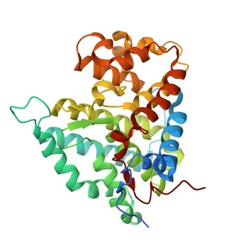 Anticorpo Policlonale Anti-Attivatore di Ser/thr-PP2A (PTPA) per WB, IF/ICC, ELISA - Q15257
