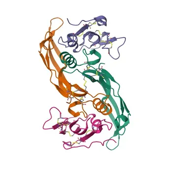 Anti-BMPR1A Rabbit Polyclonal Antibody for WB, ELISA - P36894