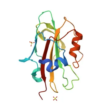 Anticorpo policlonale anti-FLOWERING LOCUS T (FT) per WB, ELISA - Q9SXZ2