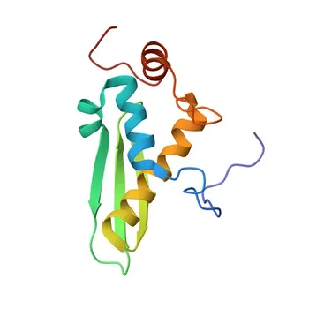 Anticorpo policlonale coniglio anti-DHX30 per WB, ELISA - Q7L2E3