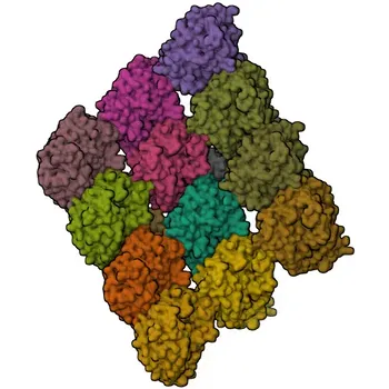 Anticorpo Policlonal Anti-TPX2 para WB, IHC-P, IF/ICC, ELISA - Q9ULW0