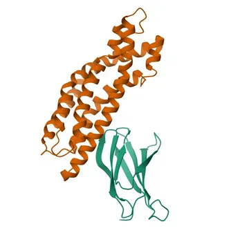 Кроличье поликлональное антитело Anti-Phospho-BCR (Y177) для WB, ELISA - P11274