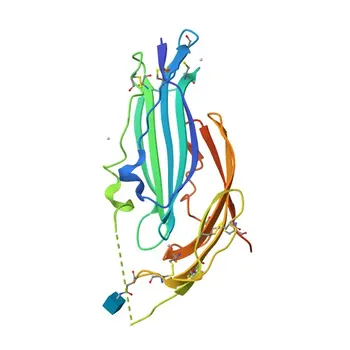 Anticorpo policlonale Anti-TEX101 per WB, IHC-P, ELISA - Q9BY14