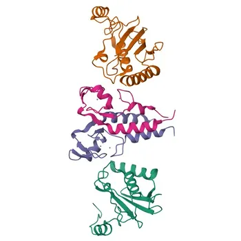 Anticorpo policlonale rabbit UBE2W per WB, ELISA - Q96B02