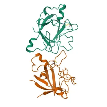 Anti-IL1RA Polyclonal Antibody for WB, IF/ICC, IF-P, ELISA - P18510