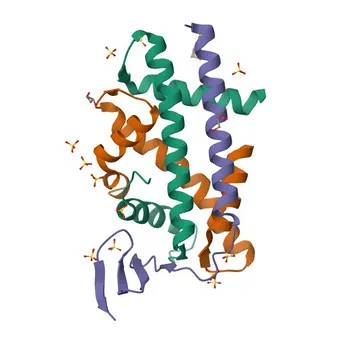 Anti-HJURP Rabbit Polyclonal Antibody for WB and ELISA - Q8NCD3