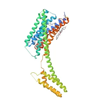 Anticorpo policlonale anti-P2RY12 per WB, IF-P, ELISA - Q9H244