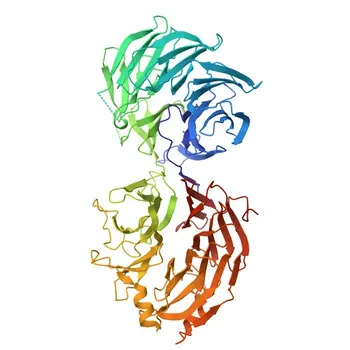 Anticorpo policlonale di coniglio anti-GEMIN5 per WB, IHC-P, ELISA - Q8TEQ6