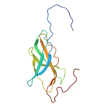 Anti-NRCAM Polyclonal Antibody for WB and ELISA - Q92823