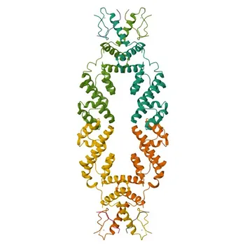Anti-D53 Polyclonal Antibody for WB and ELISA - Q2RBP2