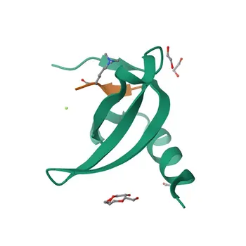 Anti-CBX7 Polyclonal Antibody for WB - O95931