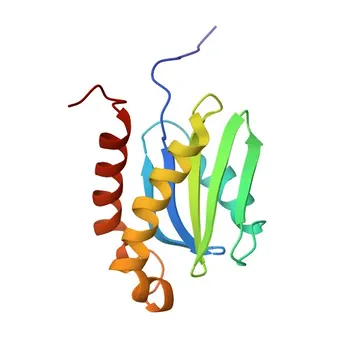 Anticorpo policlonale Anti-VAMP7 per WB, IF/ICC, ELISA - P51809
