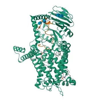 Anticorpo policlonale anti-Fattore IX / F9 per WB, IF-P, ELISA - P00740