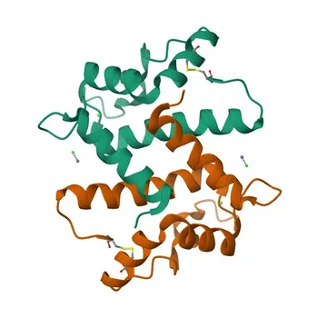 Anticorpo policlonale Anti-S100A7/Psoriasin per WB, IHC-P, ELISA - P31151