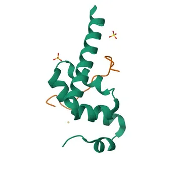 Anti-ATXN2 Polyclonal Antibody for WB, IHC-P, IF/ICC, ELISA - Q99700