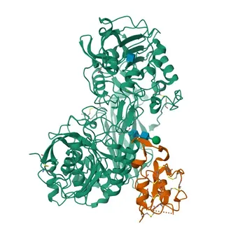 Anticorpo policlonale anti-MBTPS1 per WB, IHC-P, IF/ICC, ELISA - Q14703