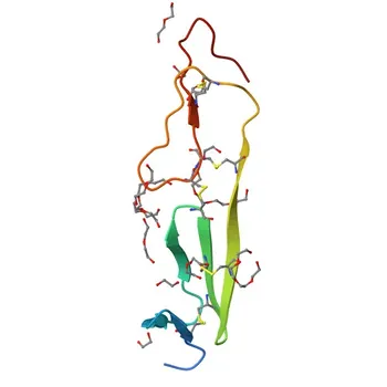 Anti-Collagen II Polyclonal Antibody for WB, ELISA - P02458