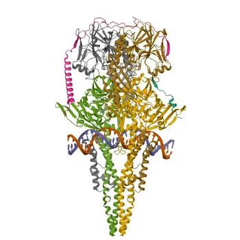 Anti-TERF2 Polyclonal Antibody for WB - Q15554