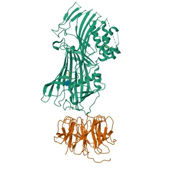 Anticorpo Monoclonal de Coelho Receptor de LDL (LDLR) para WB, IF/ICC, IHC-P, ELISA - P01130