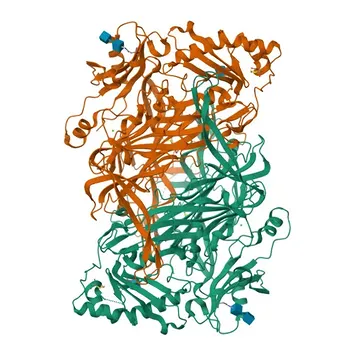 Anti-AOC3 Rabbit Polyclonal Antibody for WB and ELISA - Q16853