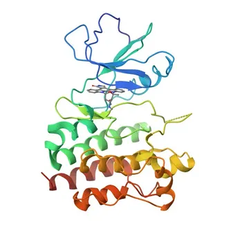 Anti-Lyn Polyclonal Antibody for WB, ELISA - P07948