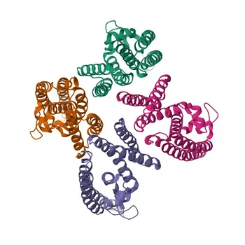 Anticorpo Policlonale Anti-Translin (TSN) per WB, IHC-P, IF/ICC, ELISA - Q15631