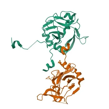 Anti-PRDM1 Polyclonal Antibody for WB, IF/ICC, ELISA - O75626