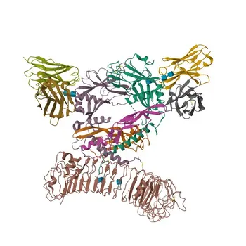 Anti-TGF-beta-1 Polyclonal Antibody for WB, ELISA - P04202