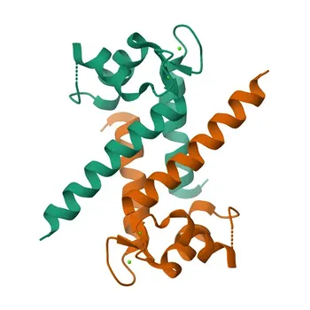 Anti-S100P Rabbit Monoclonal Antibody for WB, IF/ICC, and ELISA - P25815