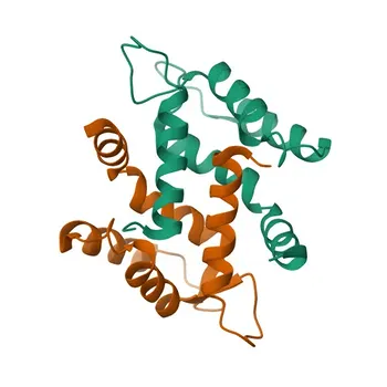 Anti-S100A16 Rabbit Polyclonal Antibody for WB, ELISA - Q96FQ6